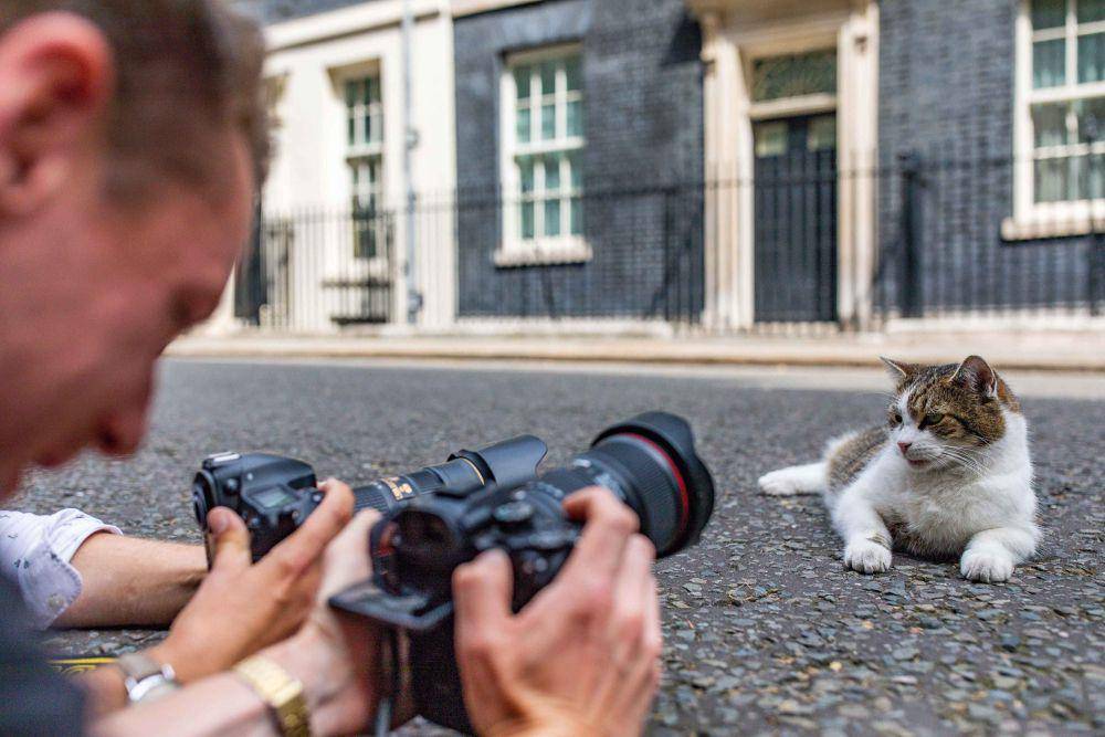 momen lucu fotografer dan kucing (x.com/TheAtlPhoto)