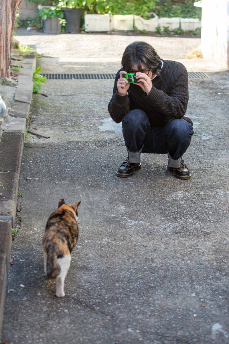 momen lucu fotografer dan kucing (x.com/HWIYFILES)