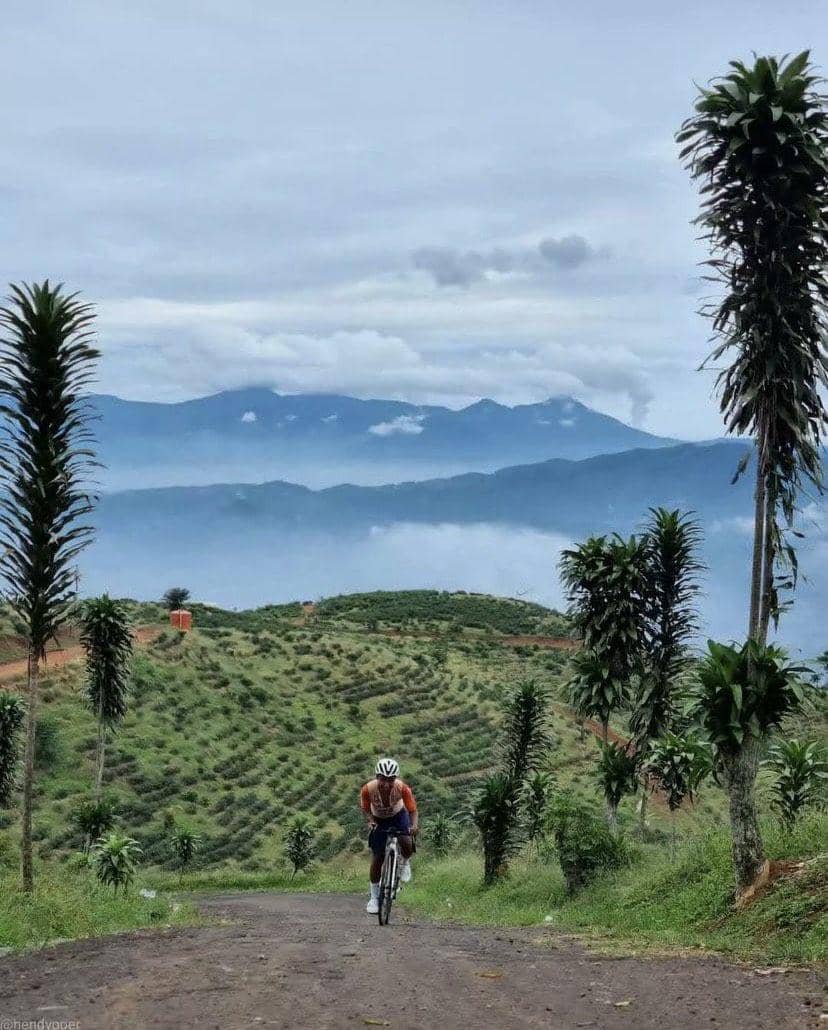 ilustrasi Bogor (instagram.com/visitcigudeg)
