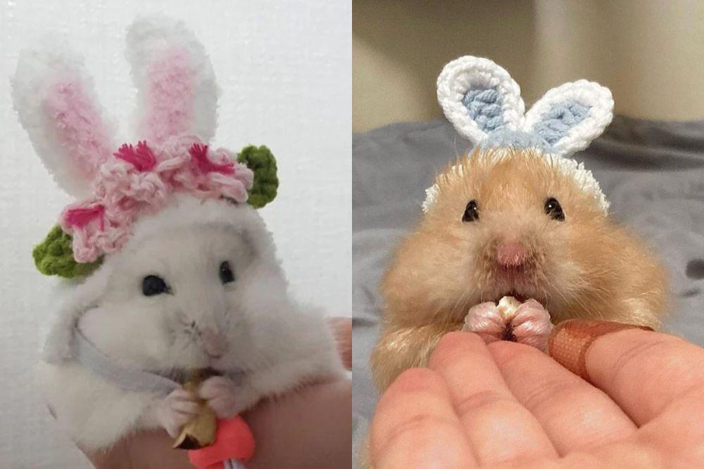 8 Potret Hamster dengan Hiasan Telinga Kelinci, Makin Gemas!