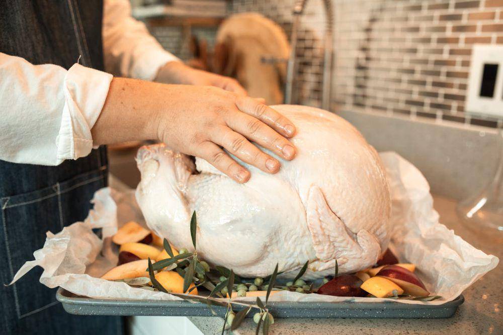 ilustrasi ayam (pexels.com/ RDNE Stock project)