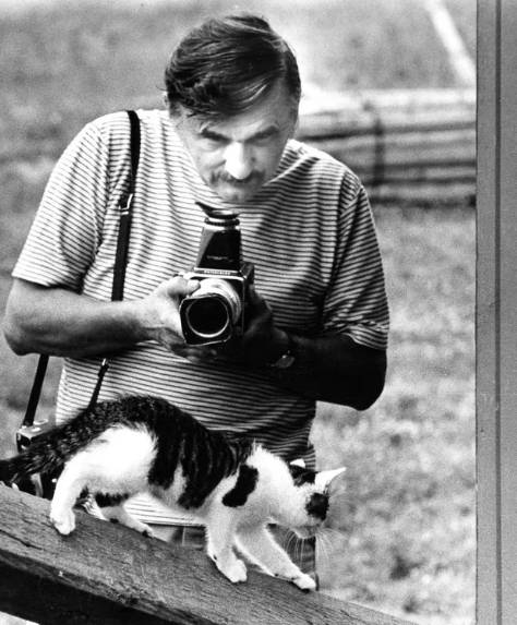 momen lucu fotografer dan kucing (reddit.com/tugboattomp)
