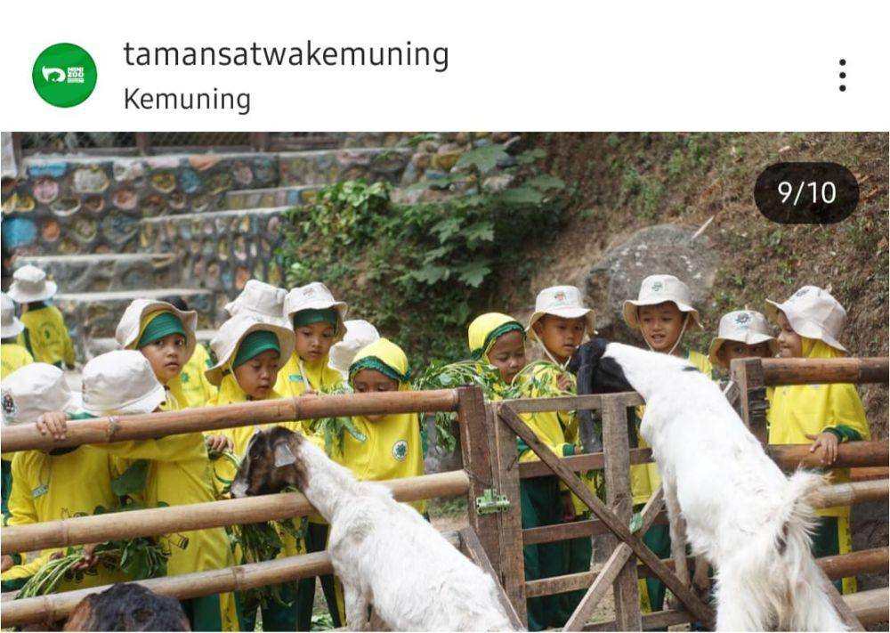 Potret anak-anak memberi makan satwa di Taman Wisata Kemuning, Karanganyar (instagram.com/tamansatwakemuning)