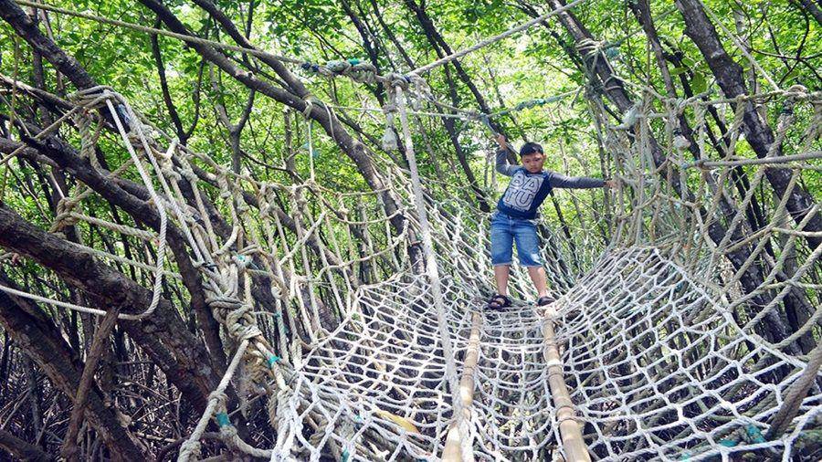 Potret Hutan Payau Cilacap (wisata.cilacapkab.go.id)