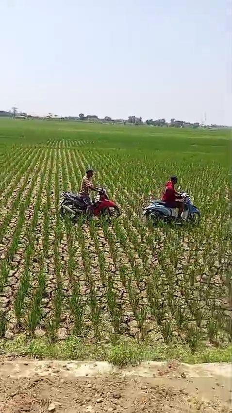 Tangkapan layar video protes sawah kering