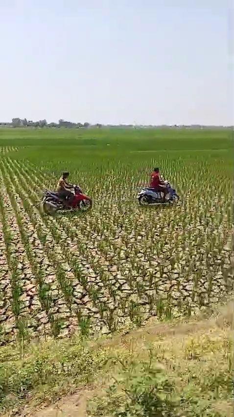 Tangkapan layar video balap motor di sawah