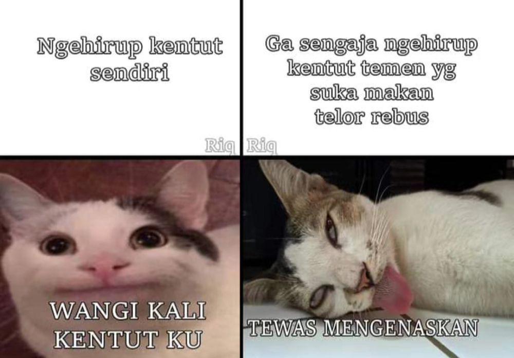 meme kentut (instagram.com/pos.total)