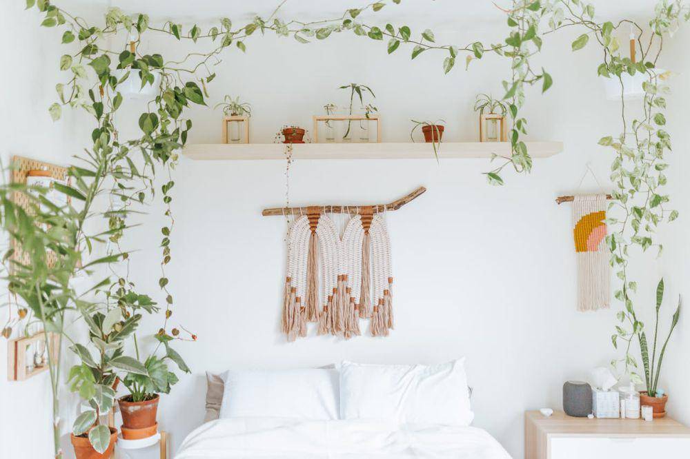 ilustrasi kamar dengan tanaman (pexels.com/Cole Keister)