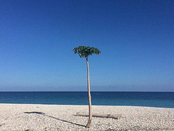 aktivitas seru yang ada di Pantai Kalbano Kupang, NTT (instagram.com/evinnoverisa)