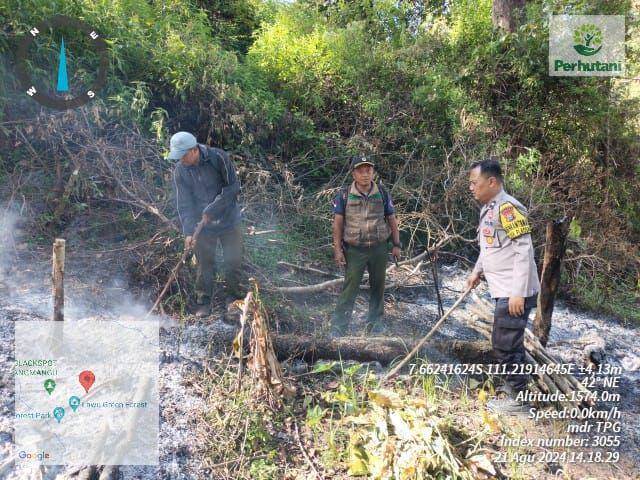 Tim gabungan dari Perhutani, TNI/ Polri dan masyarakat berhasil padamkan api sebelum membesar. IDN Times/ Istimewa.