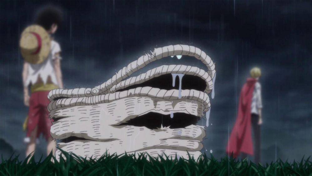 Luffy berbicara dengan Sanji. (dok. Toei Animation/One Piece)