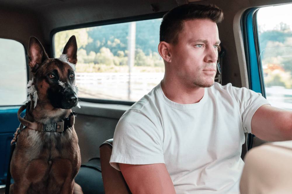 Channing Tatum dalam film Dog (dok. Metro-Goldwyn-Mayer/Dog)