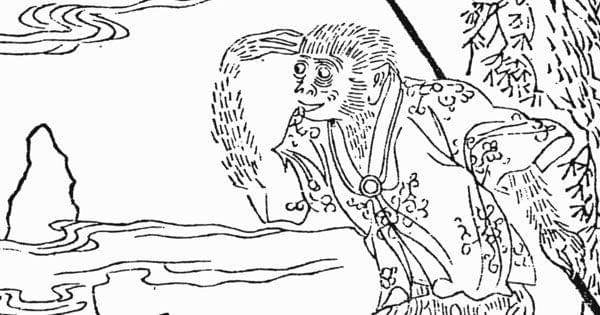 Sun Go Kong dalam versi literatur ( Dok. Wikipedia )