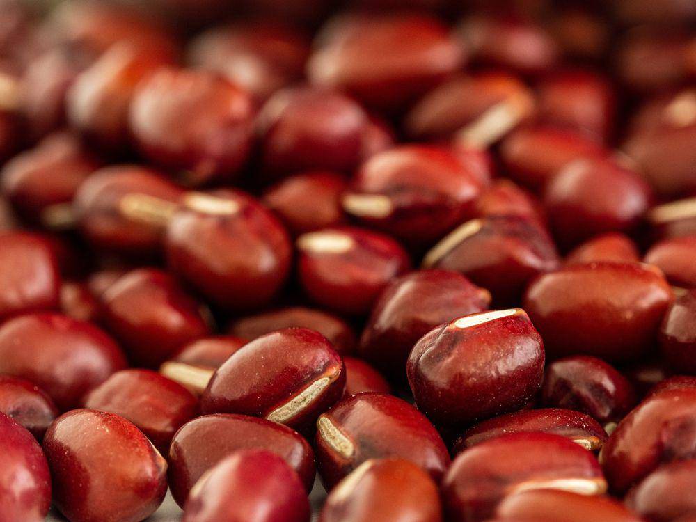 ilustrasi kacang tolo (pixabay.com/Martin Hetto)
