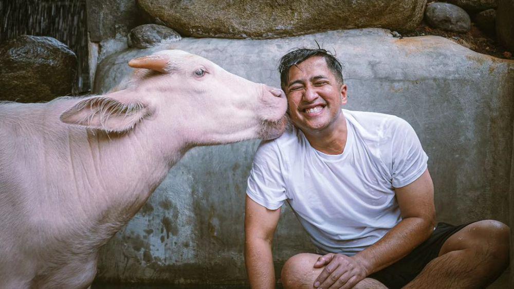 potret Irfan Hakim mengembala sapi dan kerbau (instagram.com/irfanhakim75)