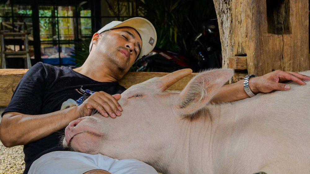 potret Irfan Hakim mengembala sapi dan kerbau (instagram.com/irfanhakim75)