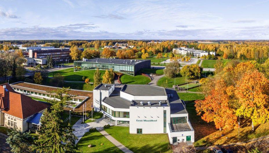 4 Universitas Terbaik di Negara Estonia, Destinasi Studi Menarik!