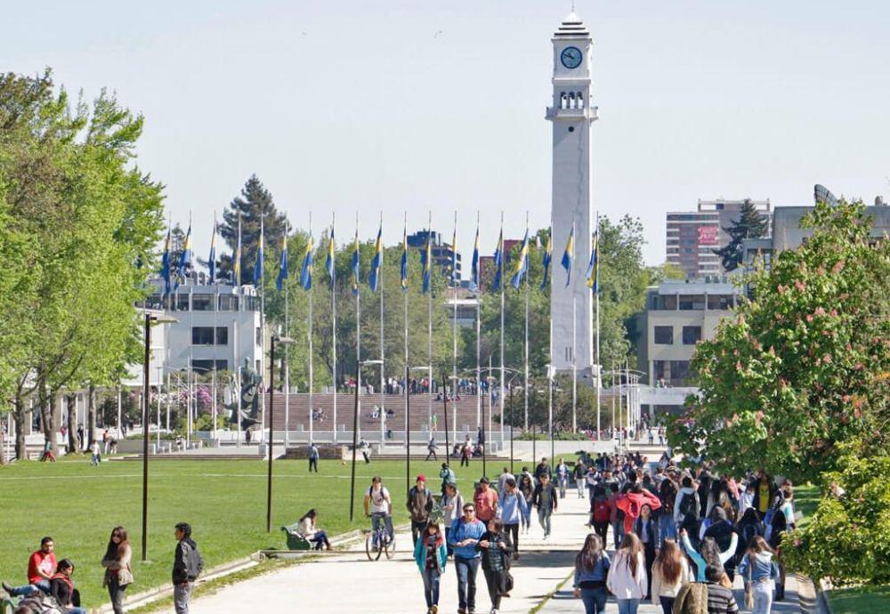 University of Concepción (dri.udec.cl)