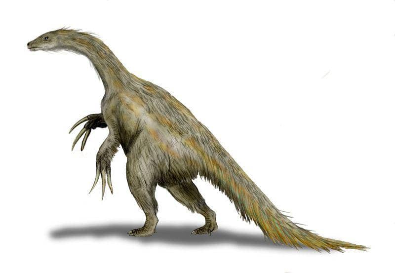 5 Fakta Nothronychus, Saudara T-Rex Vegetarian