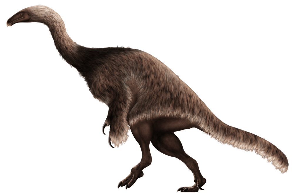 Nothronychus (commons.wikimedia.org/PaleoNeolitic)