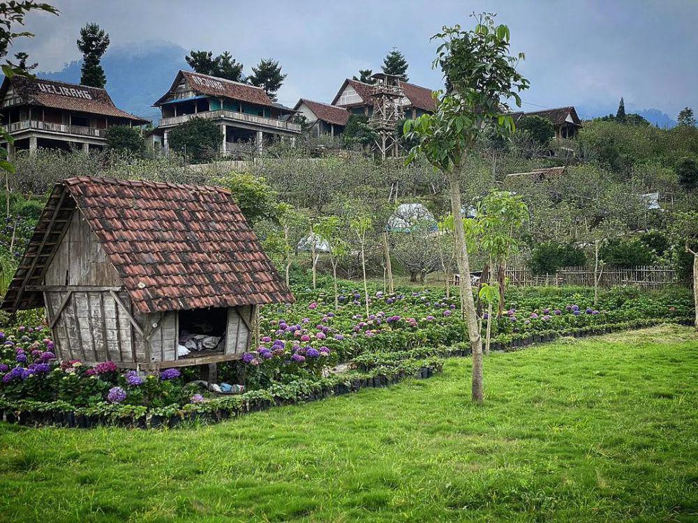 4 Daya Tarik Wisata Dusun Kuliner di Batu, Bikin Kamu Betah!