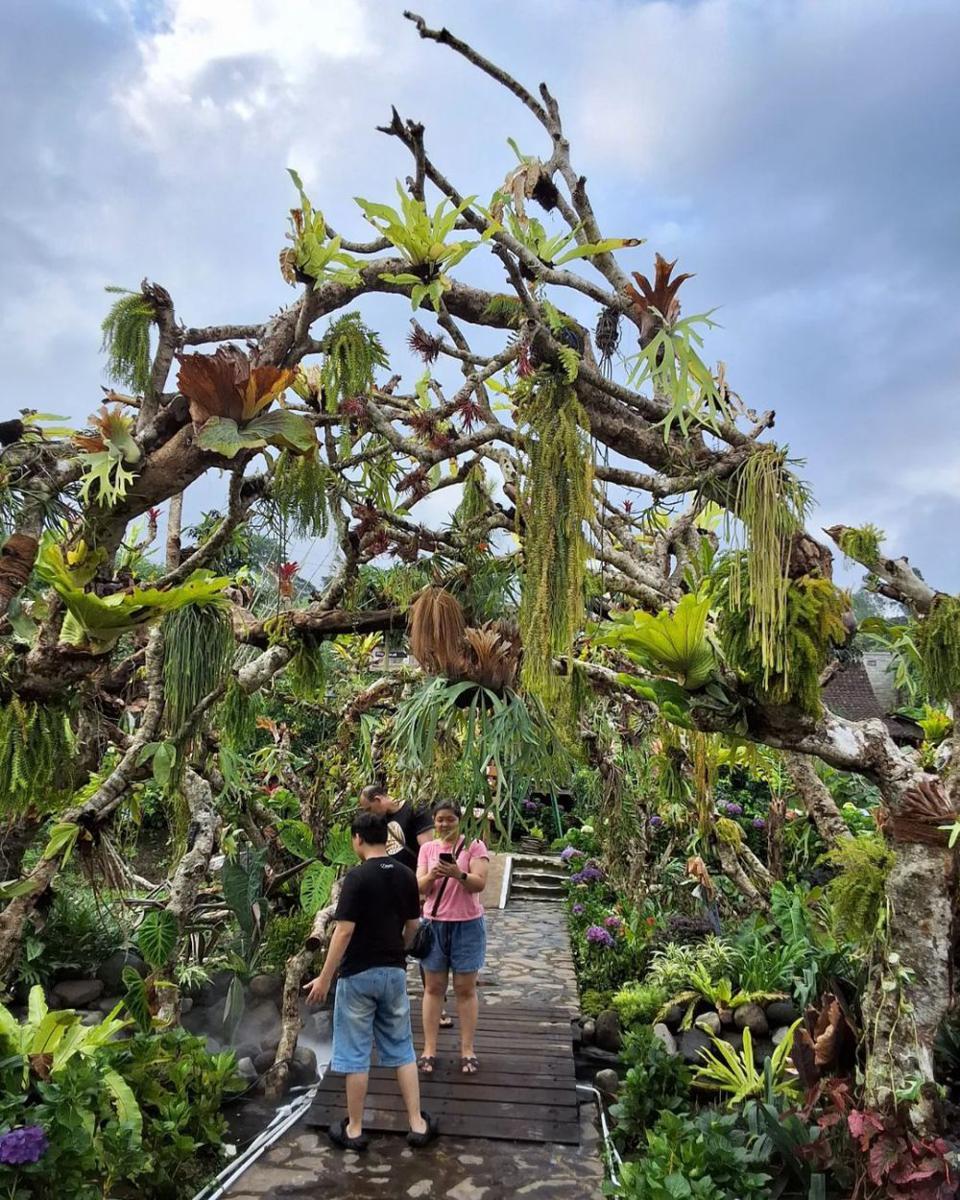 Wisata Dusun Kuliner Batu, Jawa Timur (instagram.com/wisatadusunkuliner)