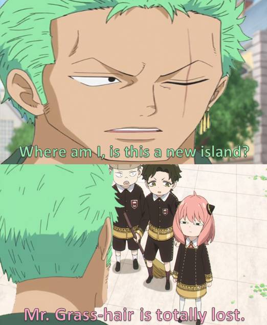 potret meme Zoro nyasar (reddit.com/user/NationalStrategy)