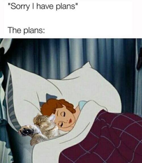 Meme rencana hidup (instagram.com/lkira.mila.bsh)