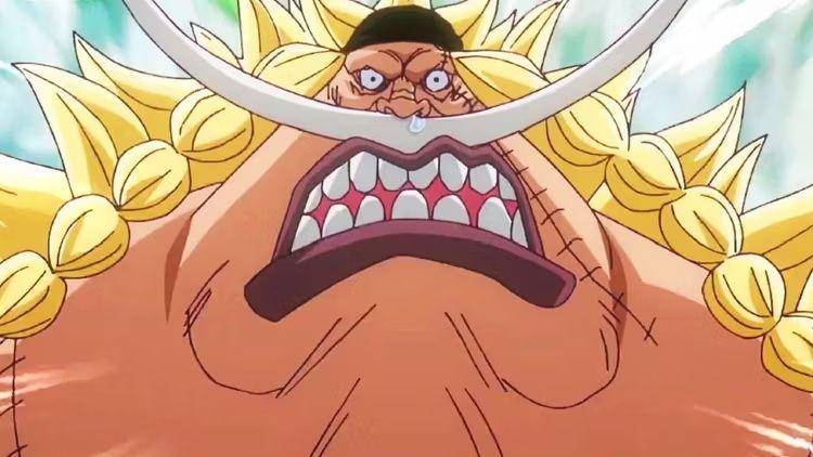 Edward Weevil karakter One Piece (dok. Eiichiro Oda, Toei Animation/One Piece)