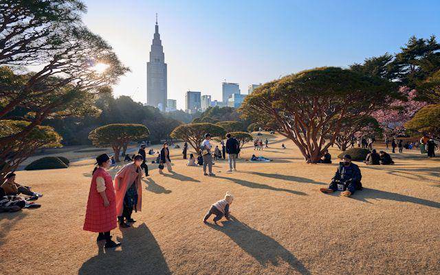 Shinjuku Gyoen (unsplash.com/Fidel Fernando)