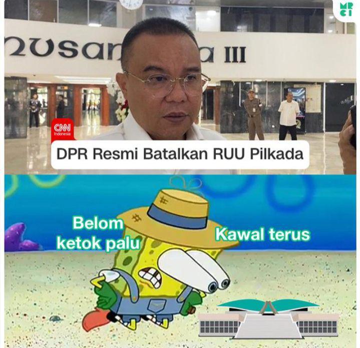 meme kawal putusan MK (instagram.com/mrci.id)