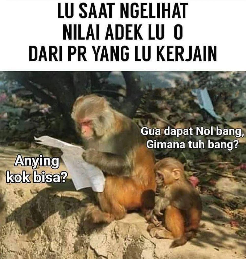 meme PR (instagram.com/memepurba)