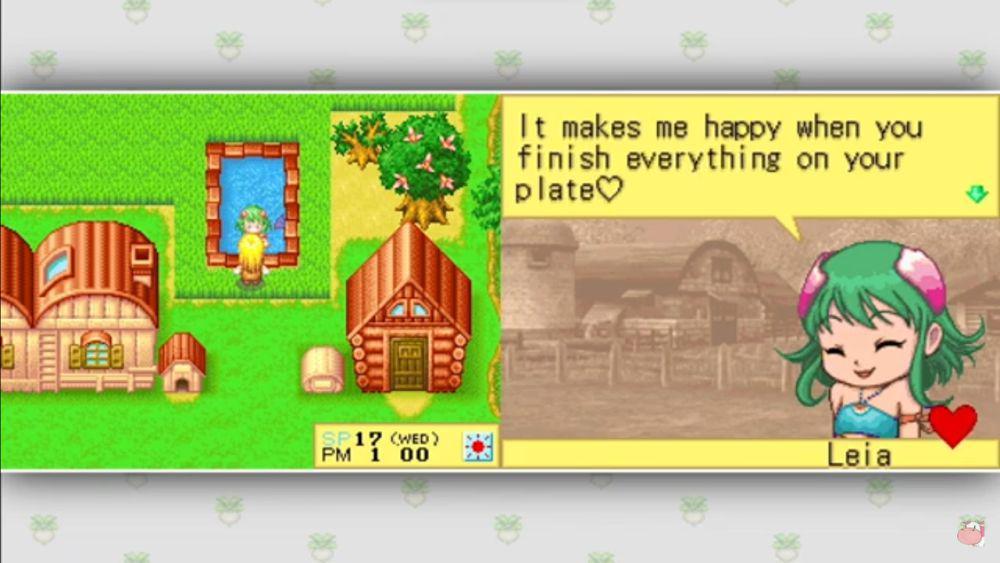 Leia akan tinggal di kolam belakang rumah setelah kamu nikahi. (dok. Natsume Inc./Harvest Moon: DS)