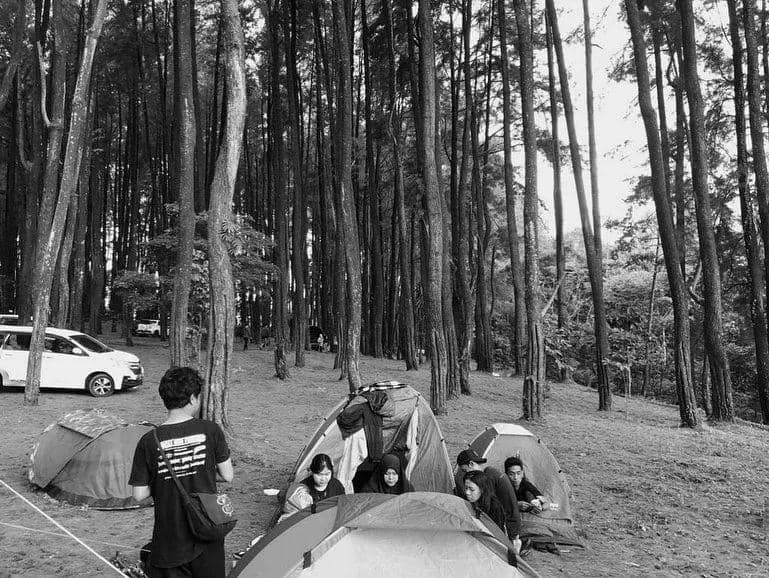 Suasana kawasan Hutan Pinus Moncong Sipolong - Bissoloro yang berada di Kabupaten Gowa. (Instagram.com/noisebreezefest)