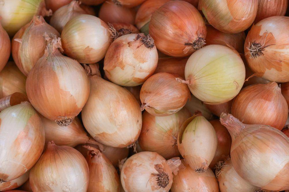 Bawang (unsplash.com/Dogan Alpaslan DEMIR)