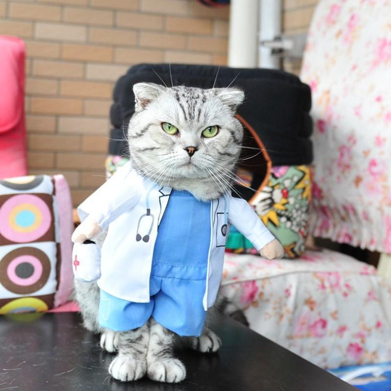 potret kucing jadi tenaga kesehatan (x.com/DoggyBoutique10)