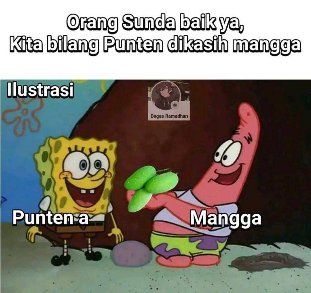 meme sunda (instagram.com/randomcurryan)