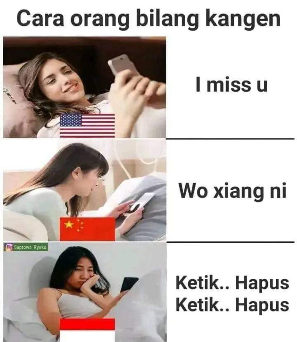 meme chat dihapus (instagram.com/meme.comic.lovers)
