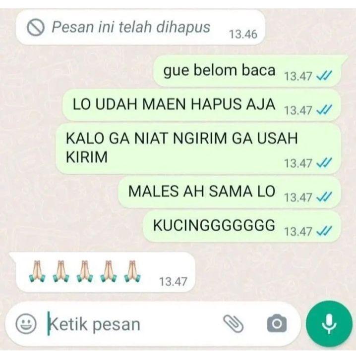 chat dihapus (instagram.com/vitaminshit)