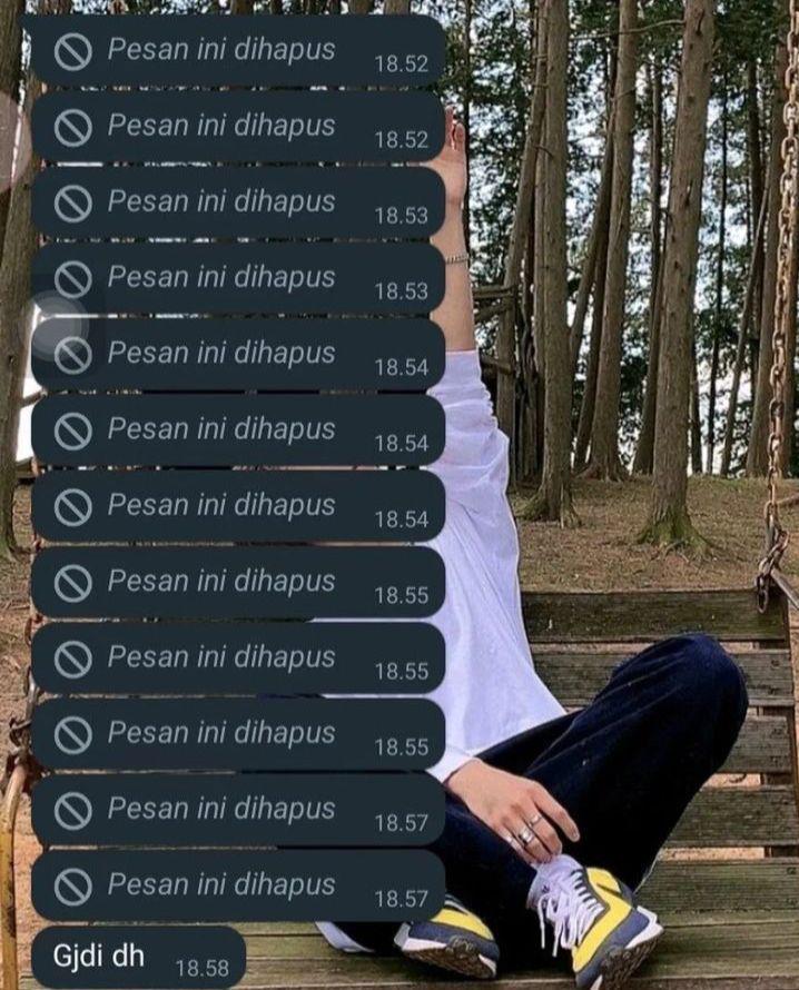 chat dihapus (instagram.com/vitaminshit)