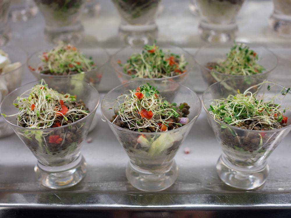 ilustrasi salad taoge (pixabay.com/lawjr)