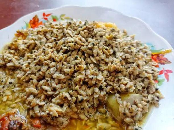 Ilustrasi lontong kupang. istockphoto.com/AlviSulistianingsih