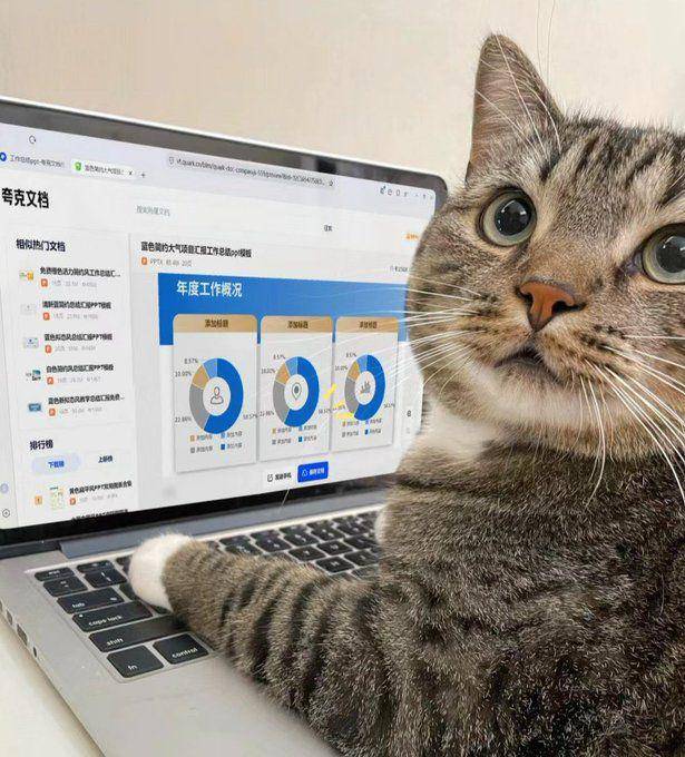 potret kucing mujair produktif (x.com/CatWorkers)