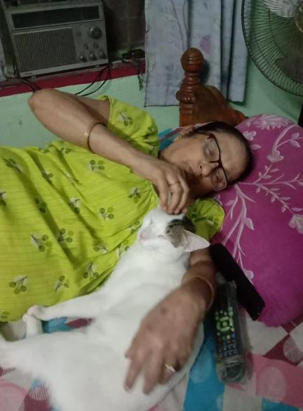 potret lucu kucing jadi cucu kesayangan nenek (reddit.com/Putrid-Climate739)