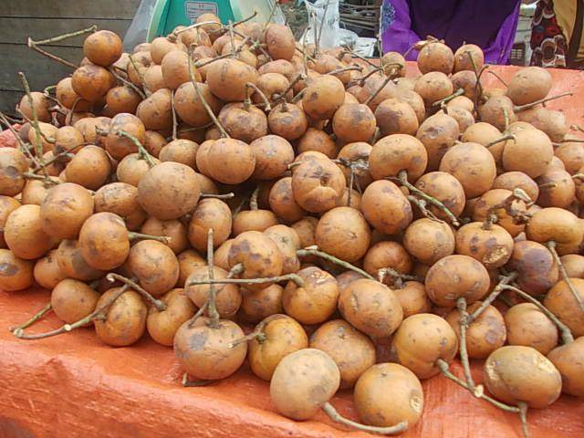 Tampoi (commons.wikimedia.org/Tu7uh)