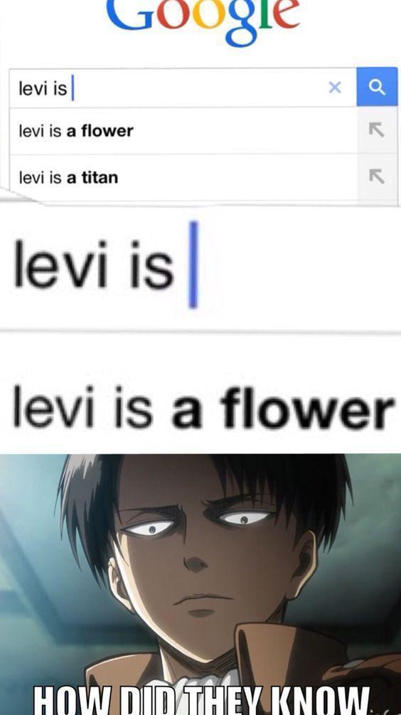 potret meme Levi Attack on Titan (reddit.com/user/carmvael)
