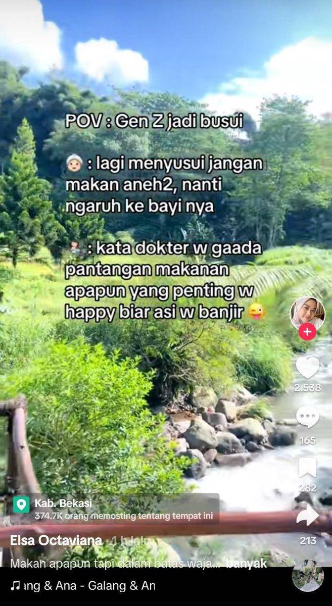 Meme gen Z (tiktok.com/elssssaja)
