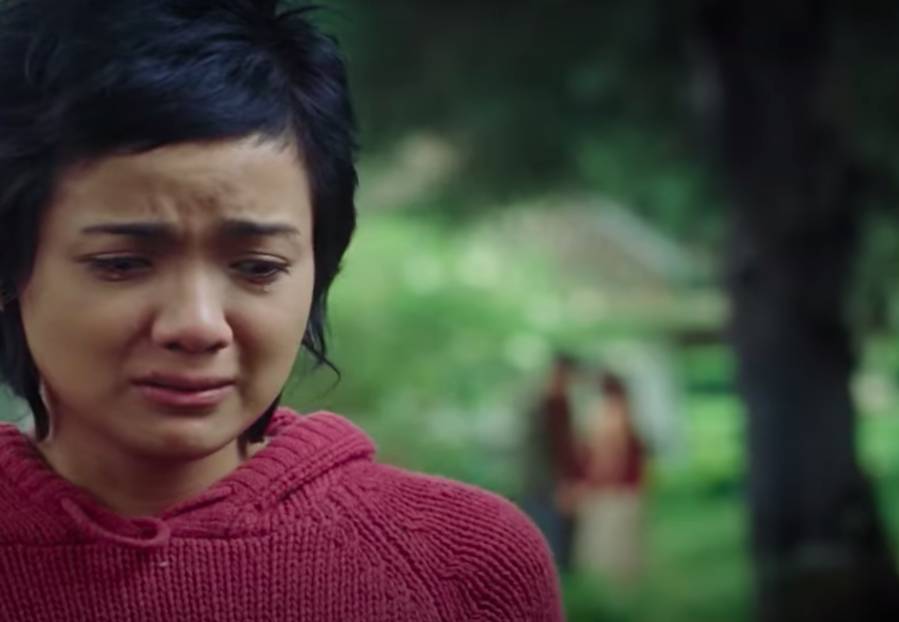 Heart (dok. Starvision Plus/Heart)