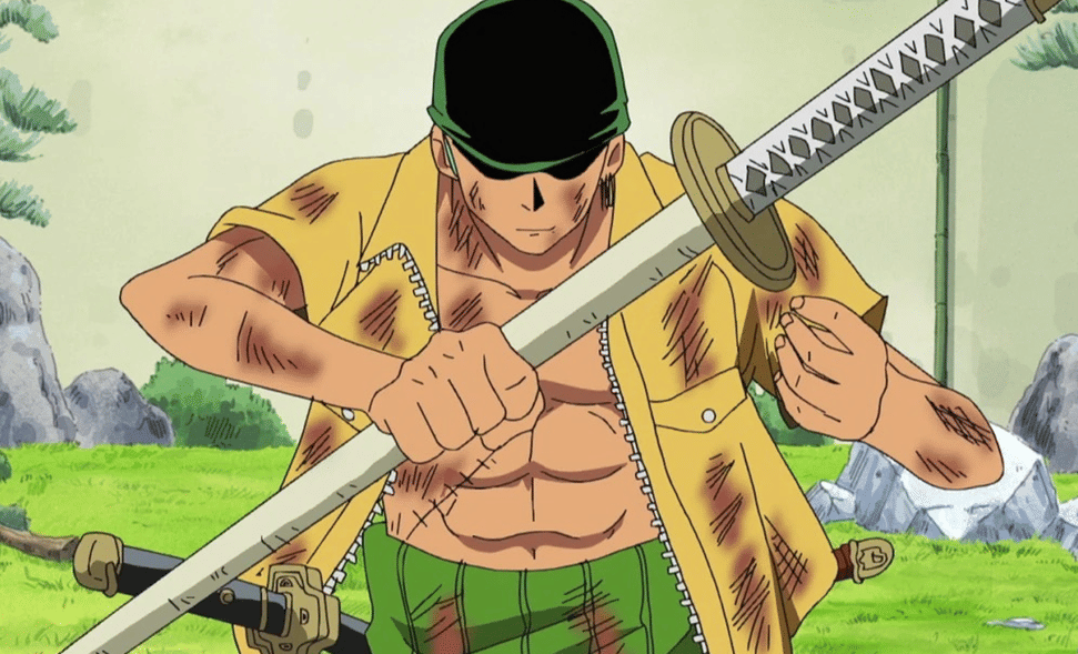 dok. Toei Animation/ One Piece