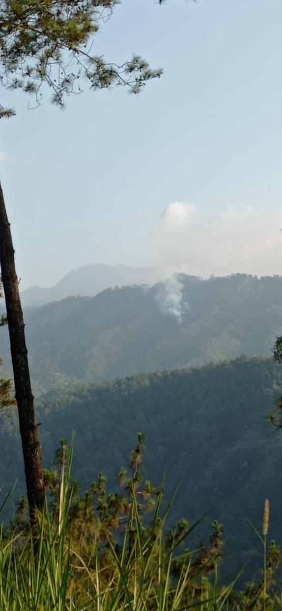Kondisi terkini kebakaran di kawasan Coban Rondo Malang. (IDN Times/istimewa)
